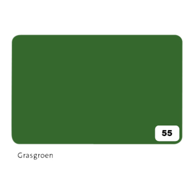 Fotokarton folia 2 sige 50x70cm 300gr55 Grasgrün | 10 Stück