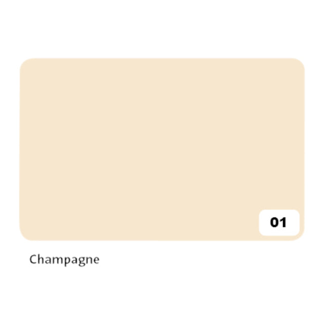 Photocarton Folia 2 -Seiten 50 x 70 cm 300gr Nr01 Champagner