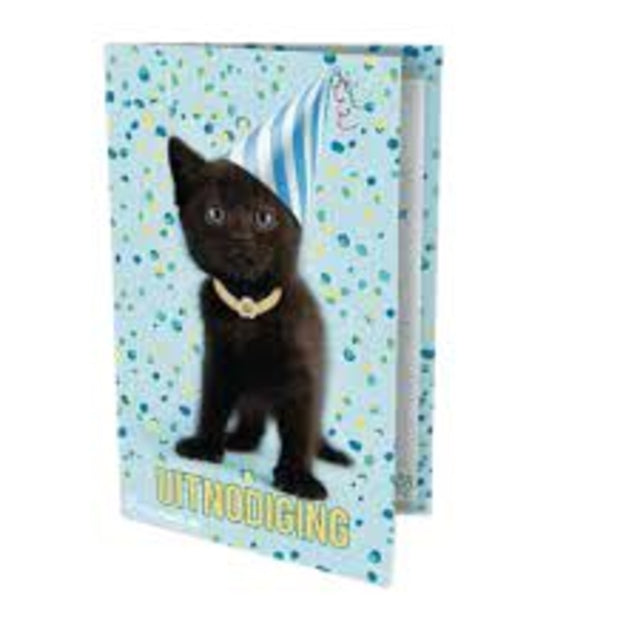Einladung Katze Rachel Hale 14x9cm | Verpacken Sie eine Karte mit 6 x 6 Siegeln
