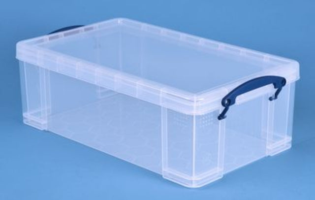 Reaxly Nützliche Box - Speicherbox 12 Liter transparent weiß