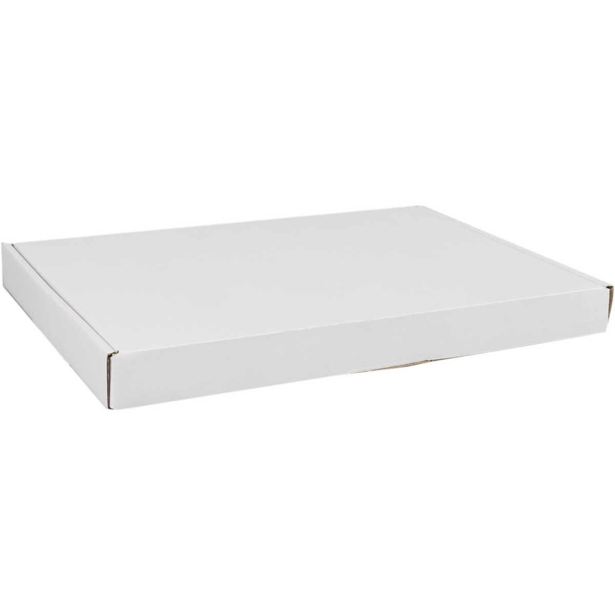 SENDFORTE® Letterbox Box A4 | Golfkarton | 310x220x28mm | mit Ventil | Single Golf | Weiß | 50 Stück