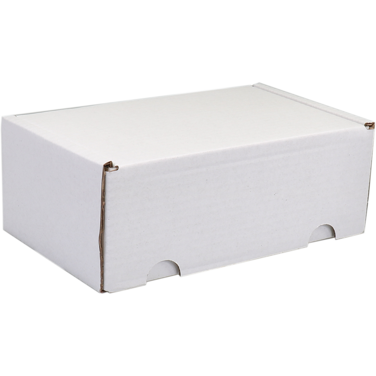 SENDPORORE® - Post -Paketbox | Golfkarton | 110x180x71mm | Empe White | 25 Stücke