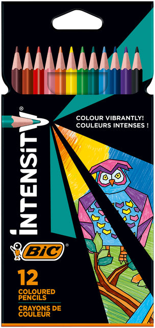 Farbige BleistiftbIC -Intensität 12 Farben