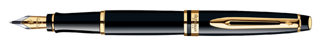 Brunnenstift Wassermann Experte Black Lack GT fein