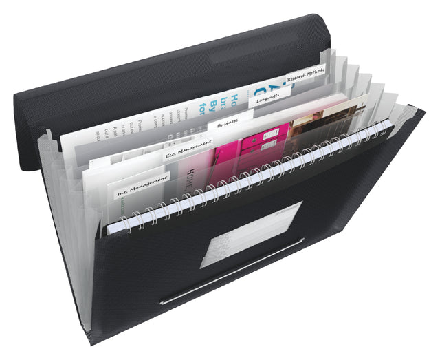 ProjectMap Esselte Vivida A4 6 Kurse PP Black