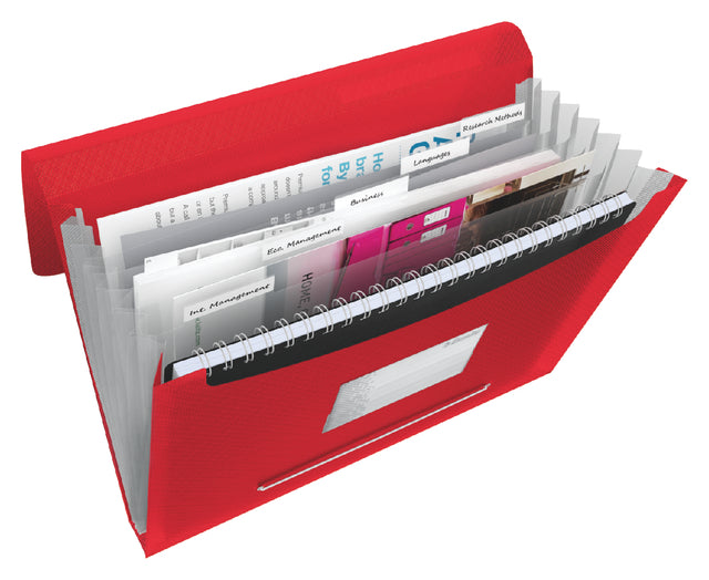 ProjectMap Esselte Vivida A4 6 Kurse PP Red