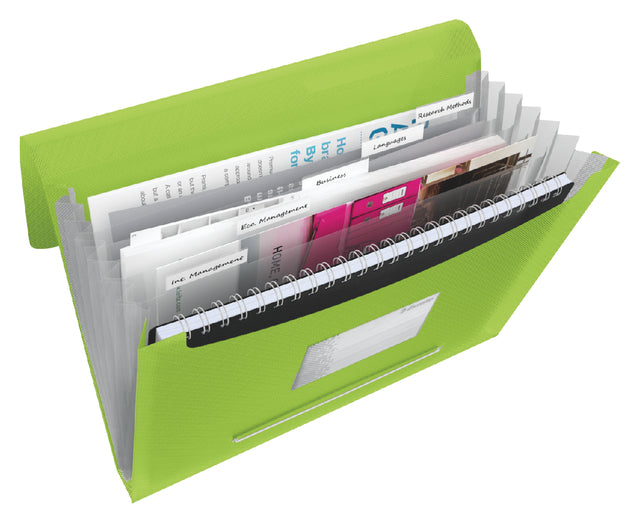 ProjectMap Esselte Vivida A4 6 Kurse PP Green