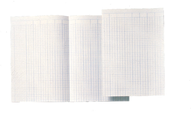 Atlanta von Jalema - Buchhaltung papier djois atl a4 14 Säule