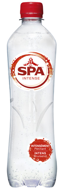 Water Spa intensiv rotes Haustier 0,50L | 24 Stücke