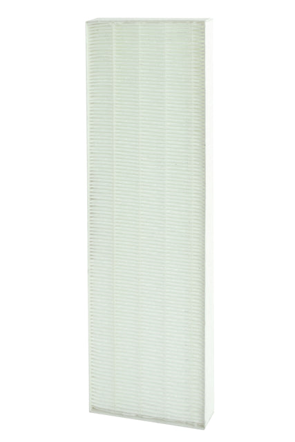Filter true Hepa für Aeramax DX5