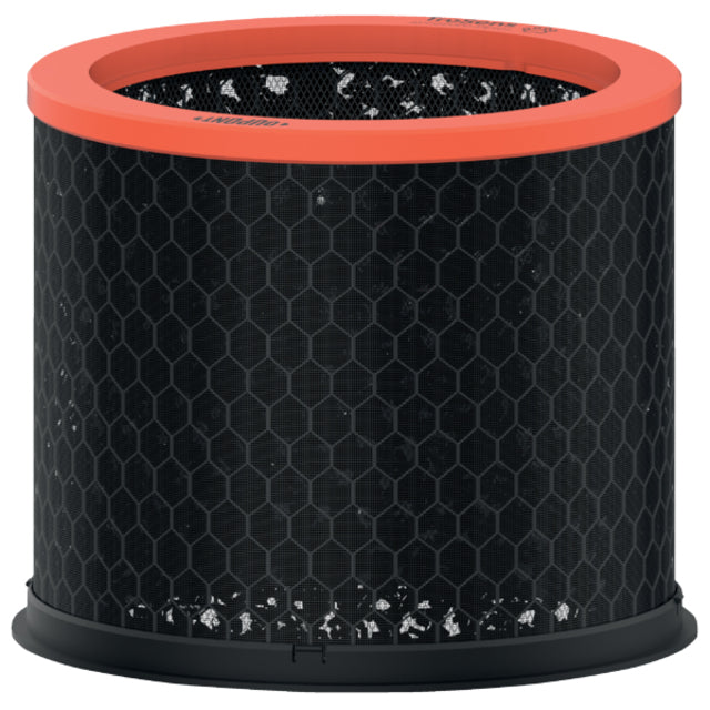 Filtre des animaux de compagnie en carbone pour Leitz Trusens Z-2000 | 12 pièces