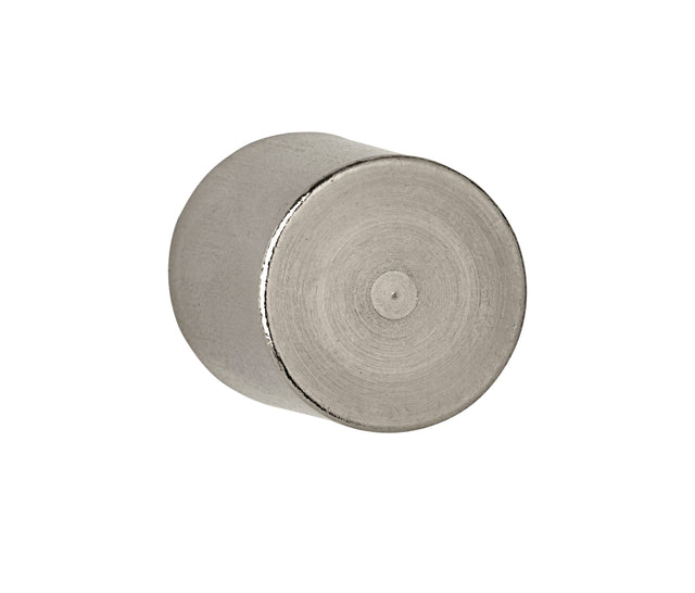 Magnet Maul Neodym Zylinder 25x35mm 19 kg | 10 Stück