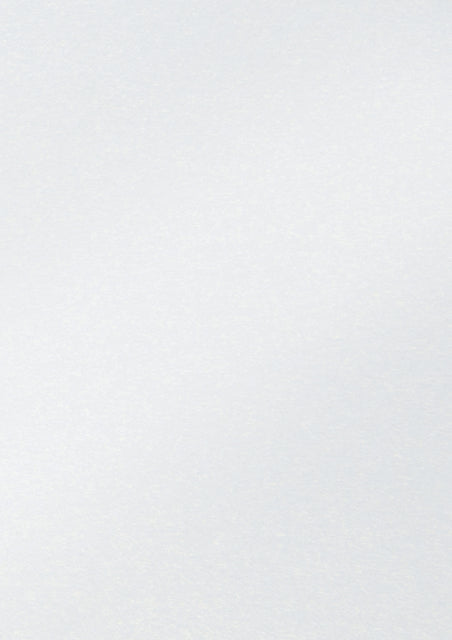 Fotokarton folia 50x70 250g prlm nr00 White | 10 Stück