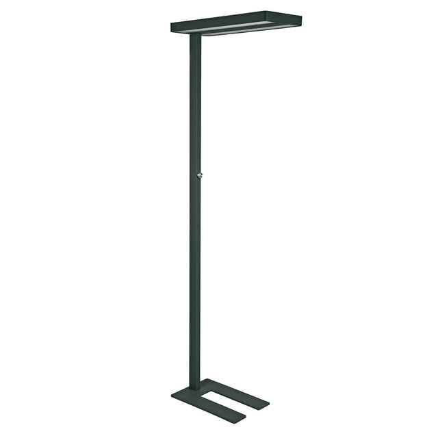 Stehleuchte Maul Javal LED dimmbar schwarz hoch 195cm | 1 Stück