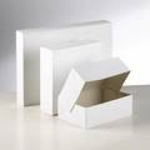 Blanco - Packbox /Weiß 20x14x8cm 300 Stück