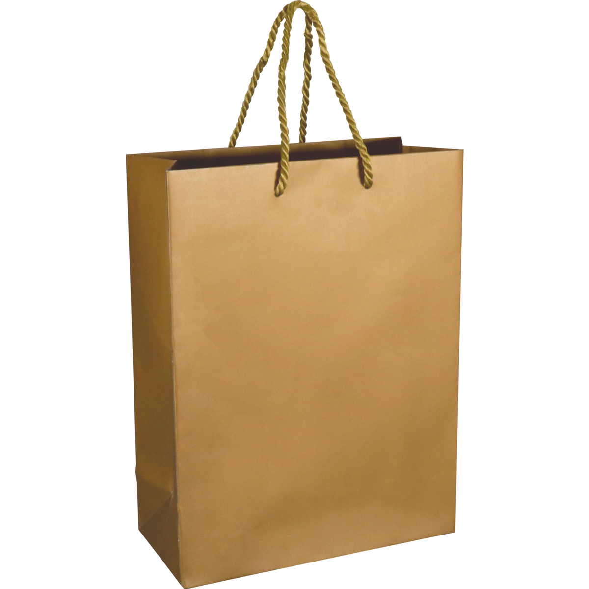 Neutral - Tas | Papier mit Kabel 22x 10x29cm | Tragetasche | Gold/Weiß 100 Stück