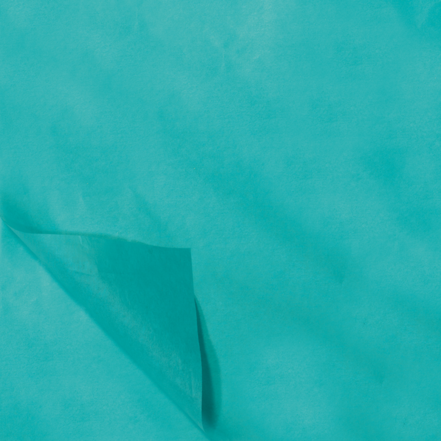 SENDPORORE® - Seidenblüte 70x50 cm | Papier hellblau 100 Blatt