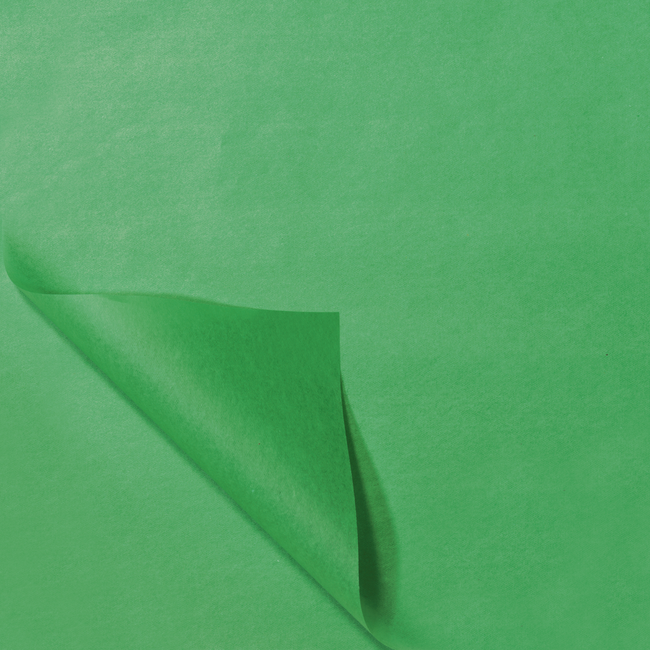 SENDPORORE® - Seidenblüte 70x50 cm | papier hellgrün 100 Blatt