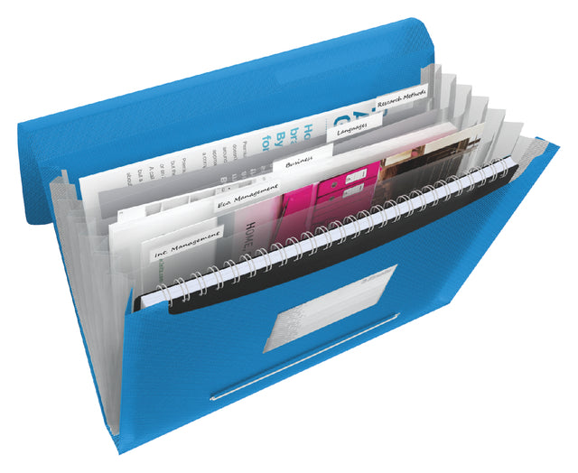 ProjectMap Esselte Vivida A4 6 Kurse PP Blue
