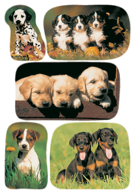 Label Herma 3528 Hunde | 10 Stück