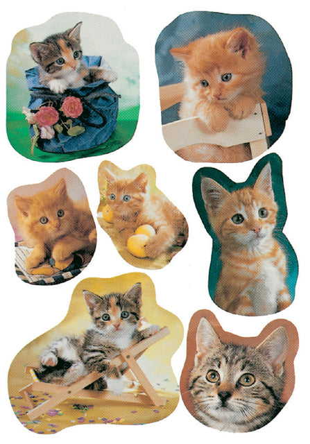 Label Herma 5747 Katzen