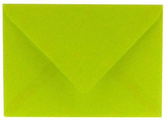 Papicolor - Einhülle EA5 156x220mm AppelGroen