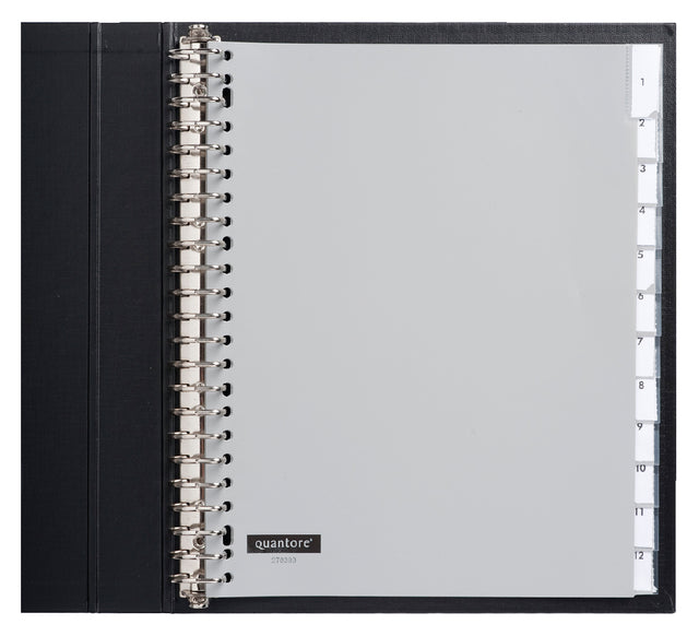 Quantore - Tab A4 23r PP 12 -Stückfenster Br GS | 10 Stücke