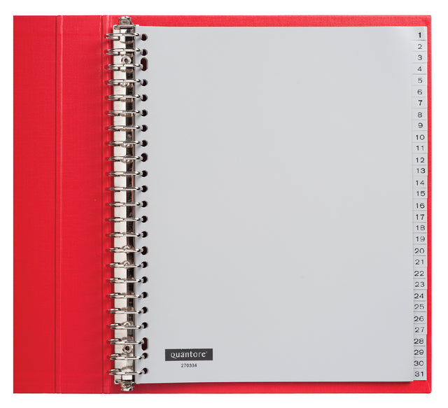 Quantore - Tab A4 23R PP 1-31 Extra Weitgrau | 5 Stücke
